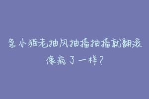 急小猫老抽风抽搐抽搐就翻滚像疯了一样?
