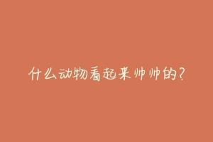 什么动物看起来帅帅的?