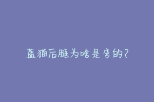 蓝猫后腿为啥是弯的？