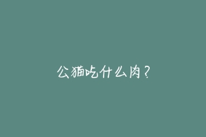 公猫吃什么肉?