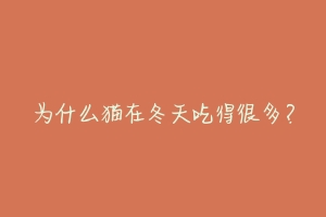 为什么猫在冬天吃得很多?