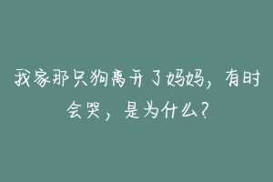 我家那只狗离开了妈妈,有时会哭,是为什么?