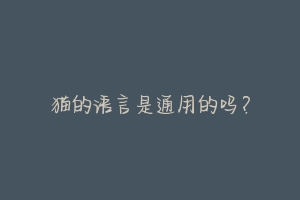 猫的语言是通用的吗?