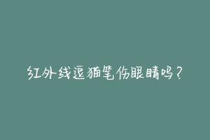 红外线逗猫笔伤眼睛吗?