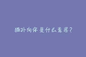 猫扑向你是什么意思？