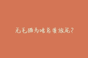 无毛猫为啥总爱放屁?