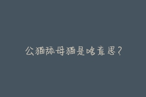 公猫舔母猫是啥意思?