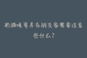 把猫咪寄养在朋友家需要注意些什么?