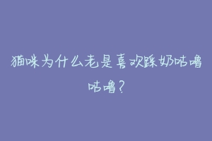 猫咪为什么老是喜欢踩奶咕噜咕噜？