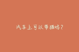 汽车上可以带猫吗?