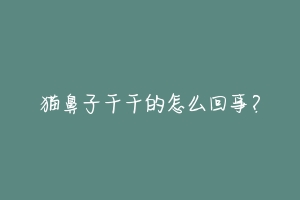 猫鼻子干干的怎么回事?