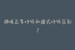 猫咪正常呼吸和腹式呼吸区别?