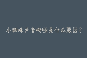 小猫咪声音嘶哑是什么原因?