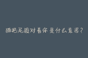 猫把屁股对着你是什么意思?