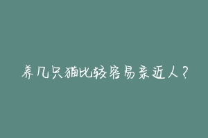 养几只猫比较容易亲近人?