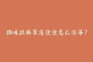 猫咪拉稀果冻便便怎么回事?