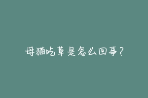 母猫吃草是怎么回事?