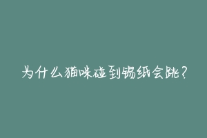 为什么猫咪碰到锡纸会跳?