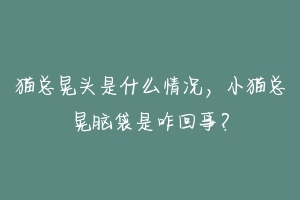 猫总晃头是什么情况,小猫总晃脑袋是咋回事?