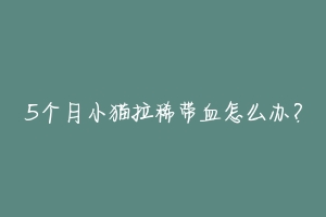 5个月小猫拉稀带血怎么办?