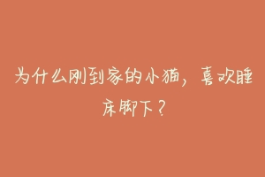 为什么刚到家的小猫,喜欢睡床脚下?