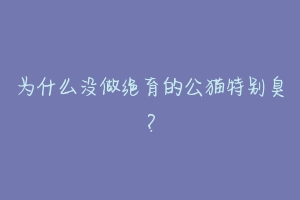 为什么没做绝育的公猫特别臭?