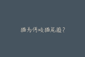 猫为何咬猫屁股?