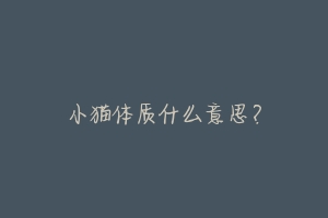 小猫体质什么意思?