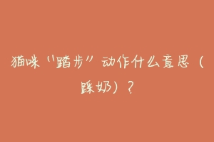 猫咪“踏步”动作什么意思(踩奶)?