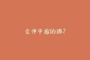会伸中指的猫?