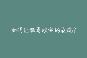 如何让猫喜欢你的表现?