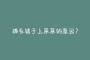 猫在被子上尿尿的原因?