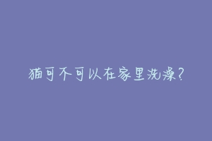 猫可不可以在家里洗澡?