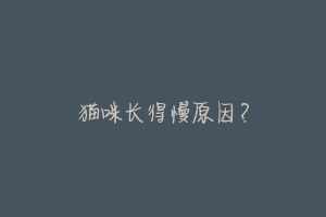 猫咪长得慢原因?