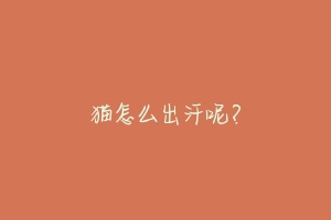 猫怎么出汗呢?