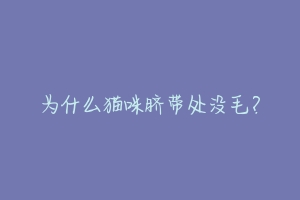 为什么猫咪脐带处没毛?