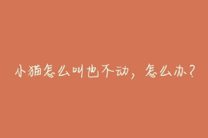 小猫怎么叫也不动,怎么办?