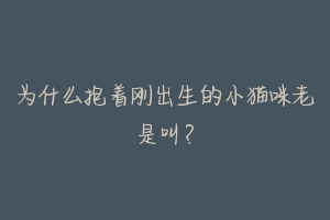 为什么抱着刚出生的小猫咪老是叫?
