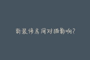 新装修房间对猫影响?