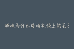 猫咪为什么爱啃衣领上的毛?