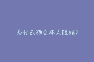 为什么猫会抓人眼睛?