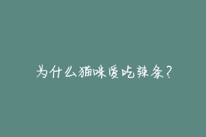 为什么猫咪爱吃辣条？