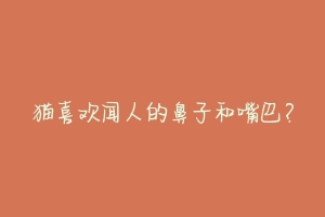 猫喜欢闻人的鼻子和嘴巴?