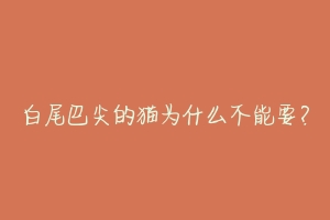 白尾巴尖的猫为什么不能要?
