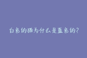 白色的猫为什么是蓝色的？