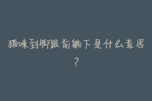 猫咪到脚跟前躺下是什么意思?