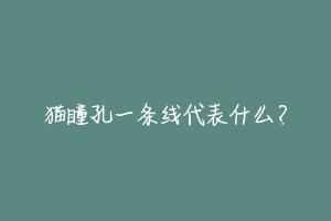 猫瞳孔一条线代表什么?