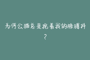 为何公猫总是抱着我的胳膊抖?