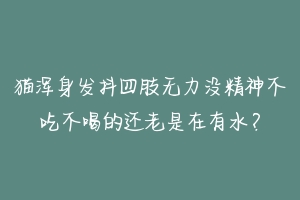 猫浑身发抖四肢无力没精神不吃不喝的还老是在有水?