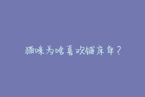 猫咪为啥喜欢铺床单?